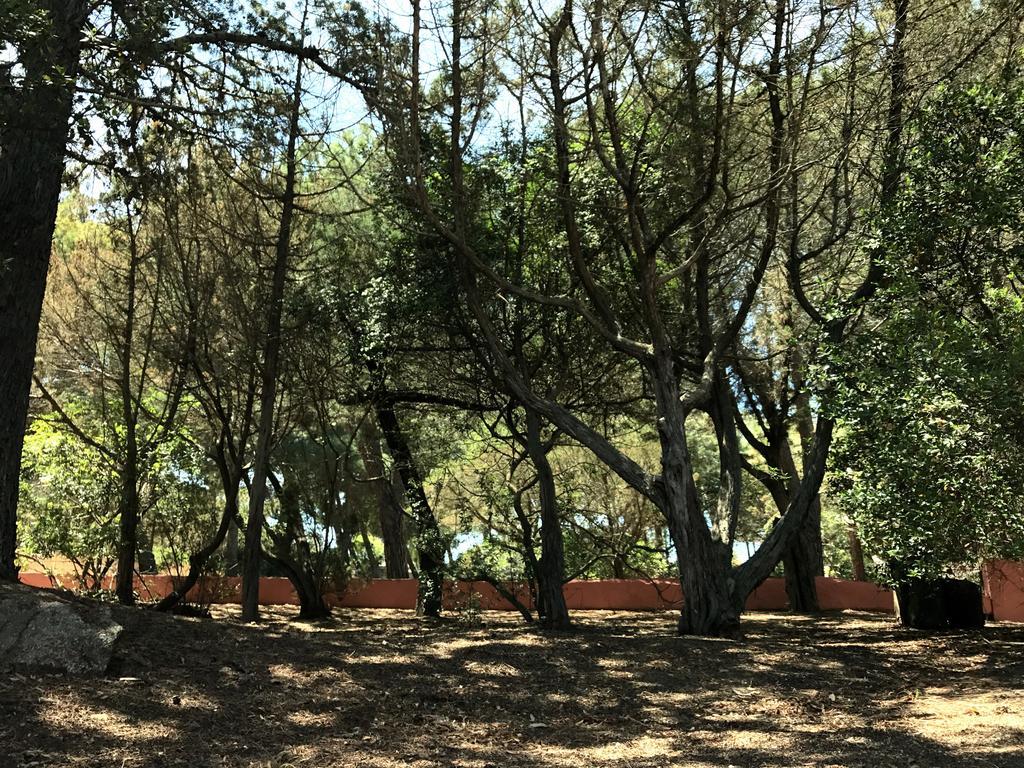 Villa Mica La Maddalena  Buitenkant foto