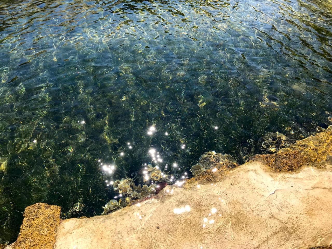 Villa Mica La Maddalena  Buitenkant foto